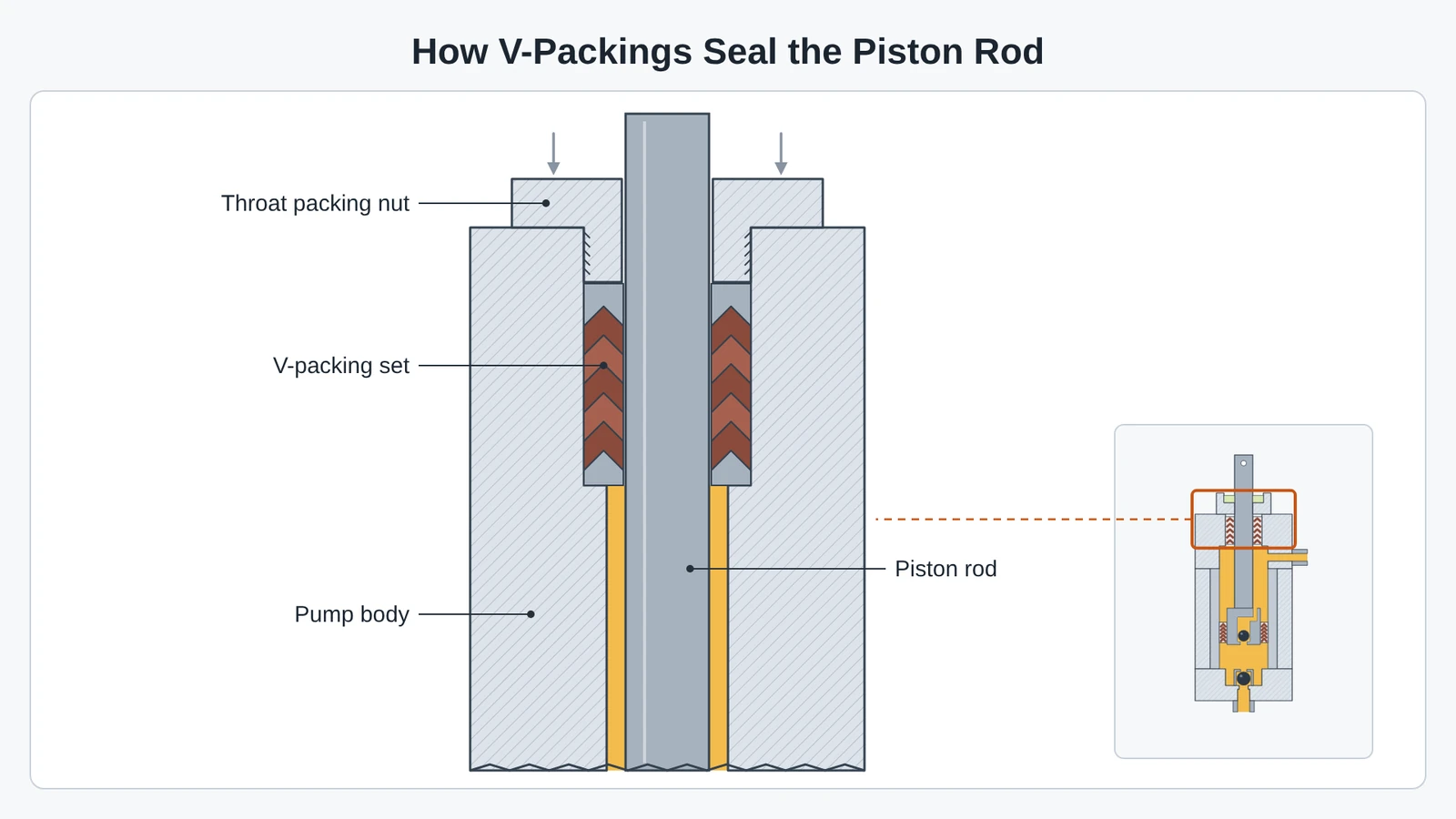 Close-up of the throat packings in a sprayer piston pump, where a packing nut presses the V-packing set around the piston rod.